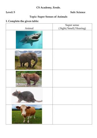 Super Senses of Animals