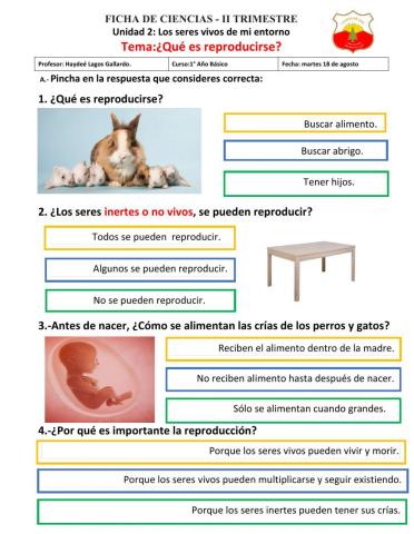 ¿Cómo se reproducen los seres vivos?