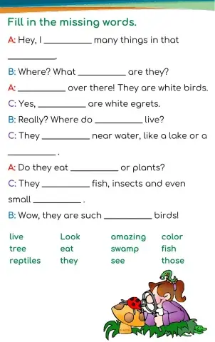 Visiting School - Gr. 5-6  Our Environment: Review 2