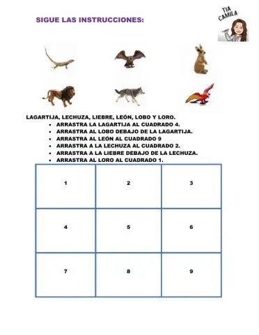 Seguimiento de instrucciones