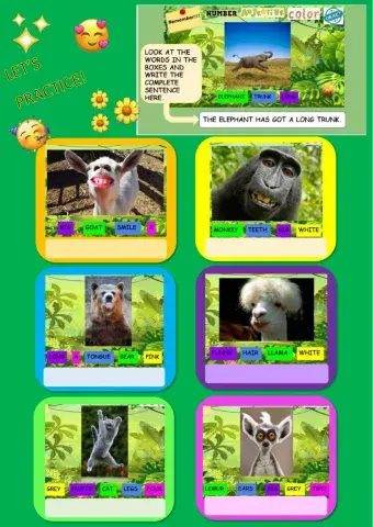 Ajective order (revision 1)