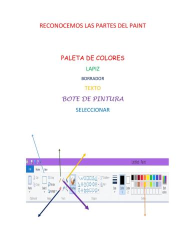 Partes del Paint