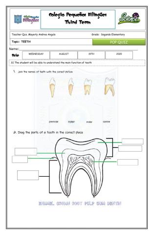 Pop quiz - teeth -third term-second grade-2020-goal 1