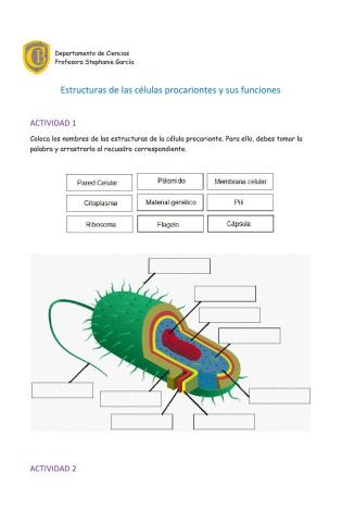 Estructuras de célula procarionte y sus funciones