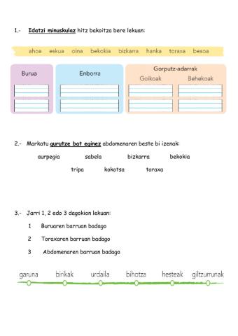 Giza gorputza ariketak 1