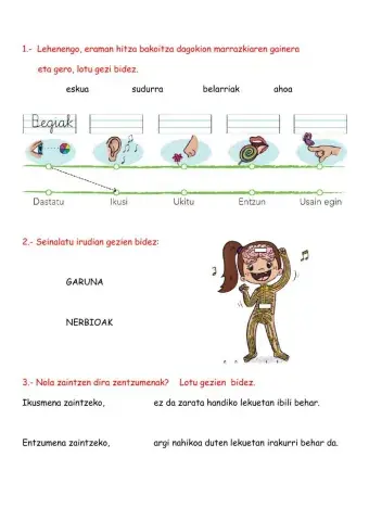 Zentzumenak ariketak