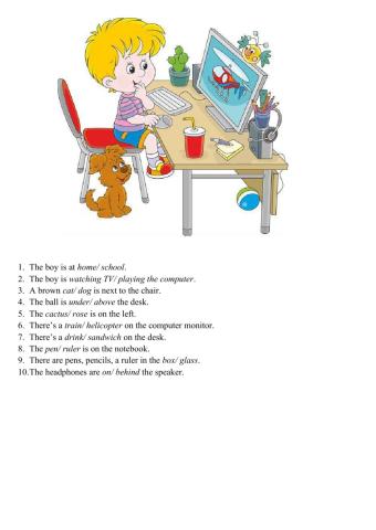 The boy at the computer.