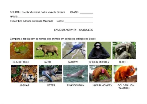 Endangered Animals in Brazil