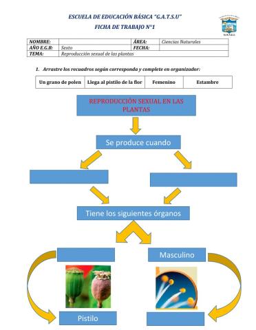 Reproducción sexual de las plantas