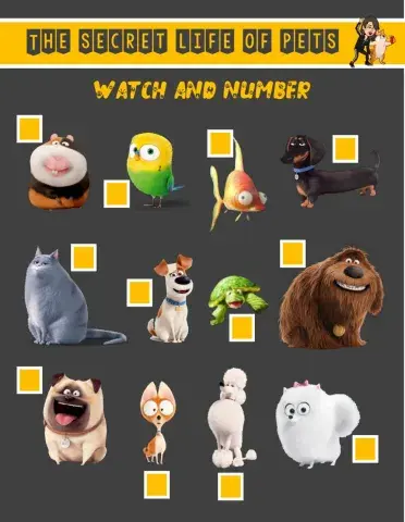 -The secret life of pets-