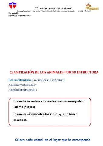 Clasificación de animales