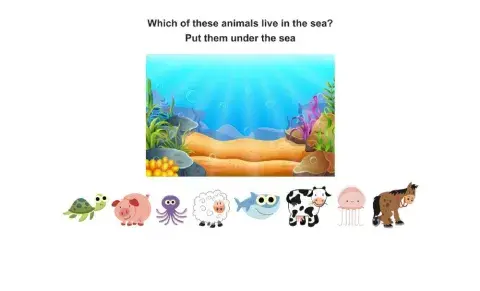 Sea animals