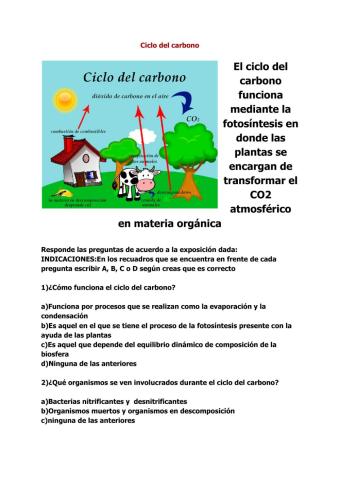 El ciclo del carbono