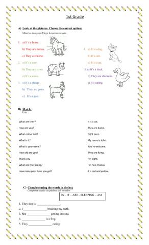 Revision Unit 6 - On the Farm