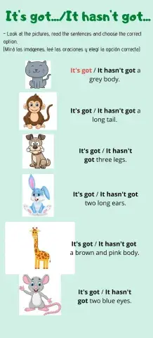 It's got...-It hasn't got...