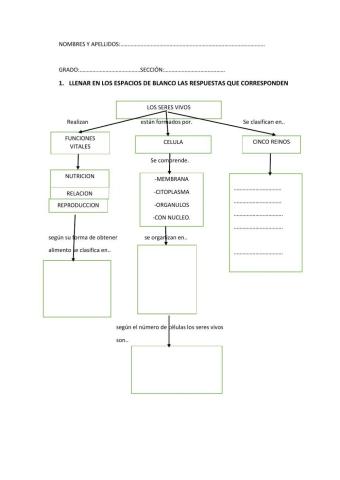 Conozcamos las estructuras, formas y clasificación de los seres vivos