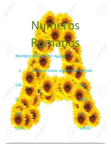 Numeros romanos