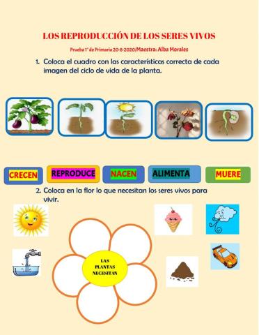La Reproducción de los Seres Vivos