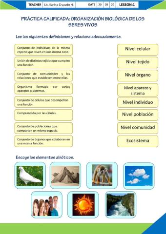 Organización biológica de los seres vivos