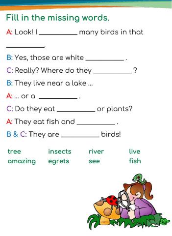 Visiting School - Gr. 4 Our Environment: Review 2