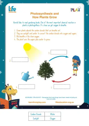 Library Liftoff - Photosynthesis