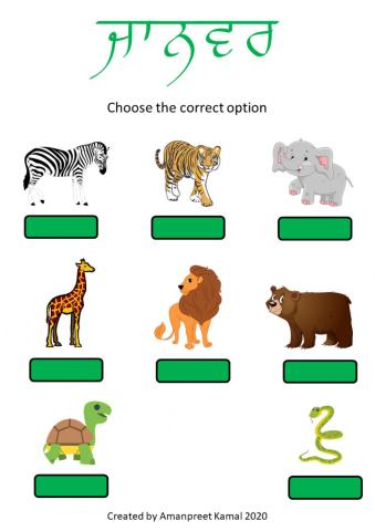 Animals - choose the correct option