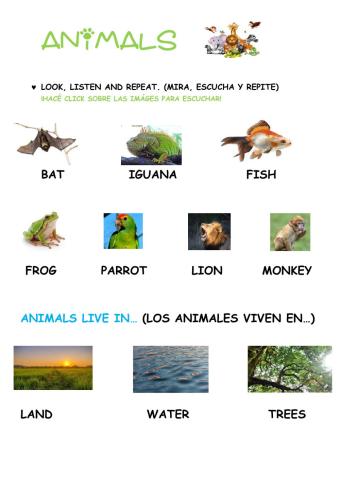 Animals