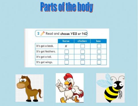 Parts of the body - animals