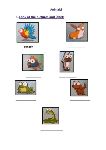 Animals characteristics