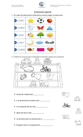 Orientación espacial