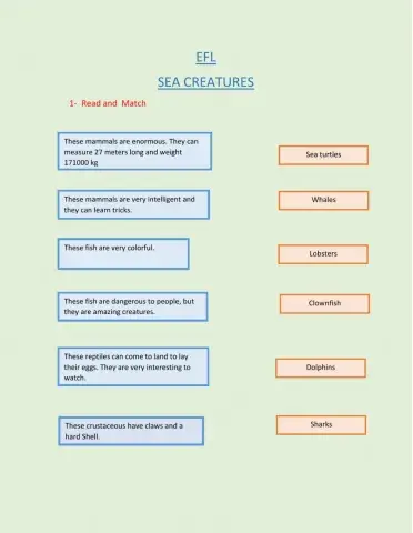 Sea Creatures