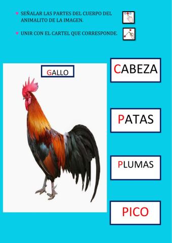 Señalar y Unir con el cartel de las partes del cuerpo