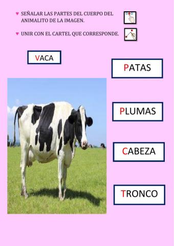 Señalar y Unir con el cartel de las partes del cuerpo