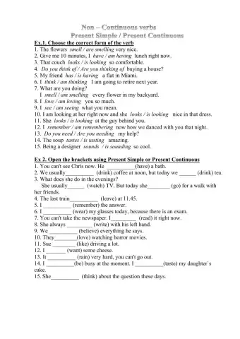 Non-continuous verbs.Present Simple-Continuous