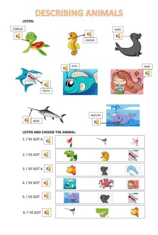 Describing animals