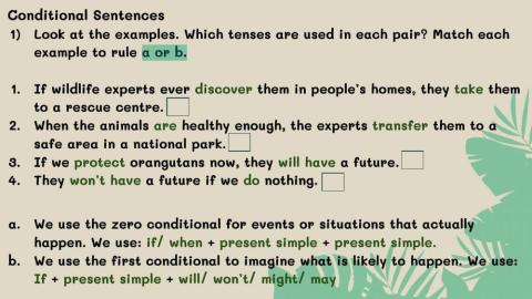 Conditionals