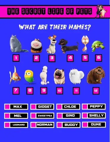 The secret life of pets