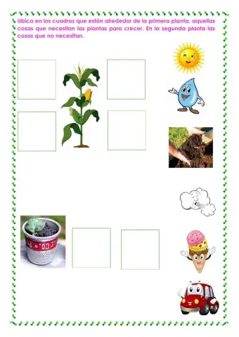 ¿Qué necesitan las plantas para crecer?.