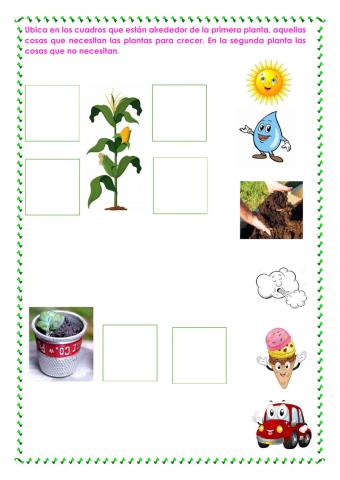 ¿Qué necesitan las plantas para crecer?.