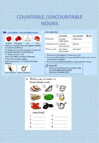 Countable and uncountable nouns