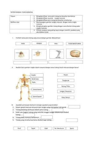 Sistem gerak pada manusia