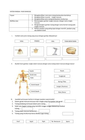 Sistem gerak pada manusia