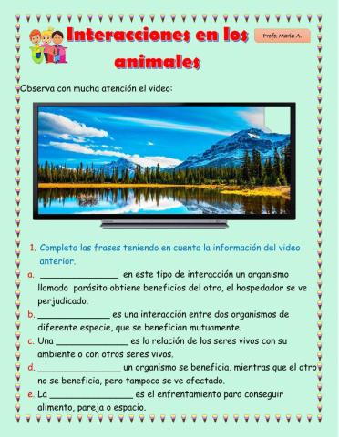 Interacción Animal