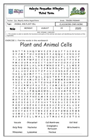 Classwork - animal and plant cell -own work- third grade