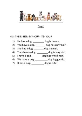 Possessive adjectives