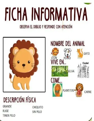 Ficha informativa