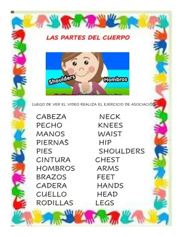 Partes del cuerpo