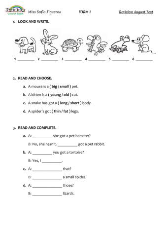 Revision August Test