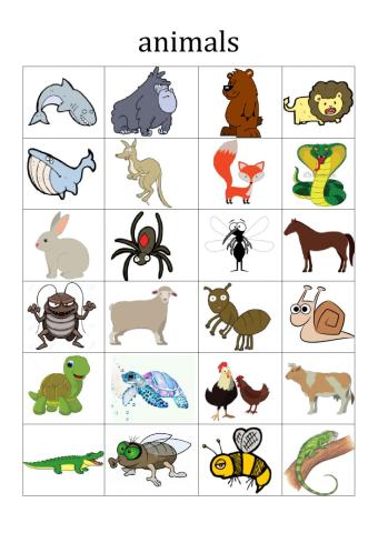 Animal CLassification