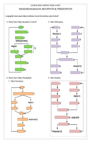LKPD Bryophyta dan Pteridophyta